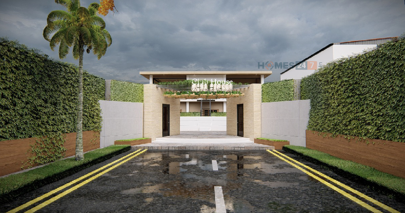 The Signature Palms Cover Image